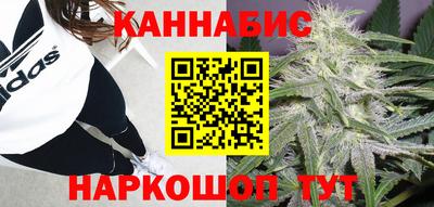 соль ск Новоалтайск