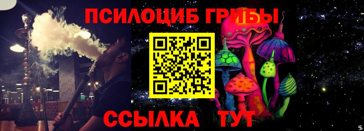Псилоцибиновые грибы прущие грибы  Галлюциногенные грибы Psilocybe  Бор  Вход с VPN 